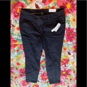 NWT Dress Barn Jeans SZ 6P